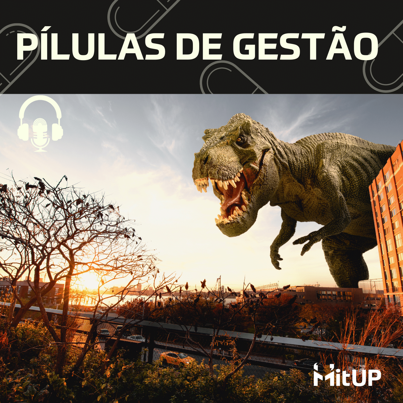 #003 – Riscos e perigos: 4 passos para não colocar tudo a perder