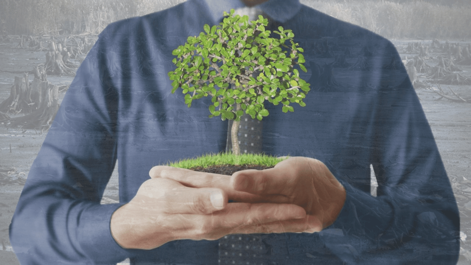 Resistência, Resiliência e Replaneamento