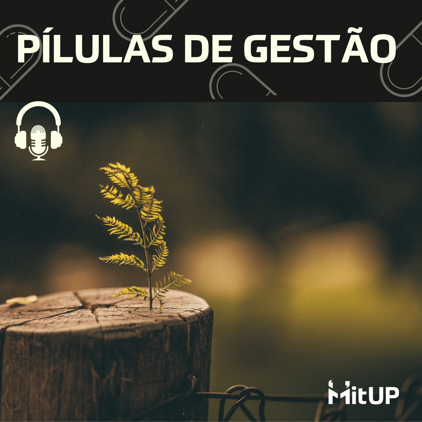 #008 – Recomeçar é preciso! Estou bem para isso?